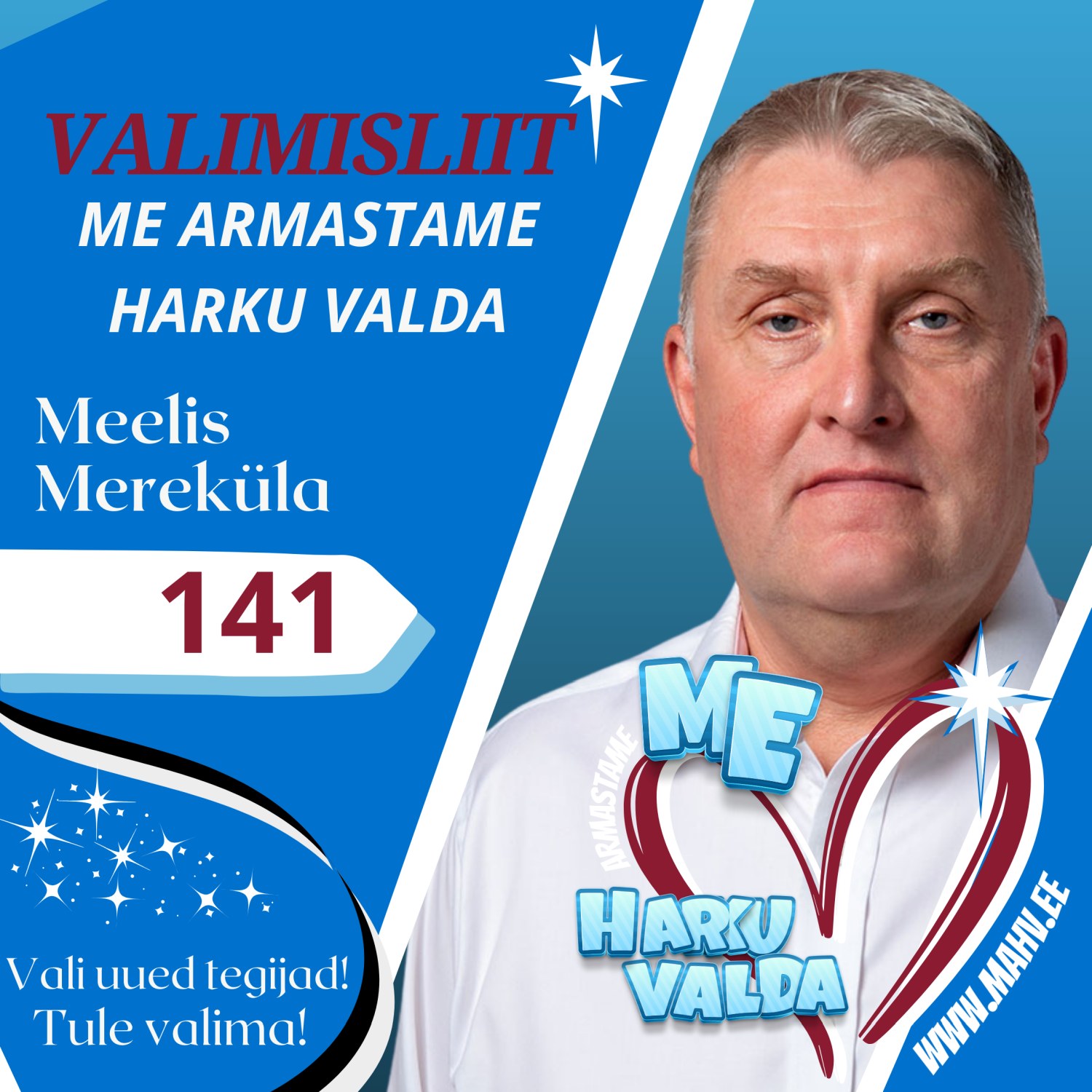 141 MAHV Meelis